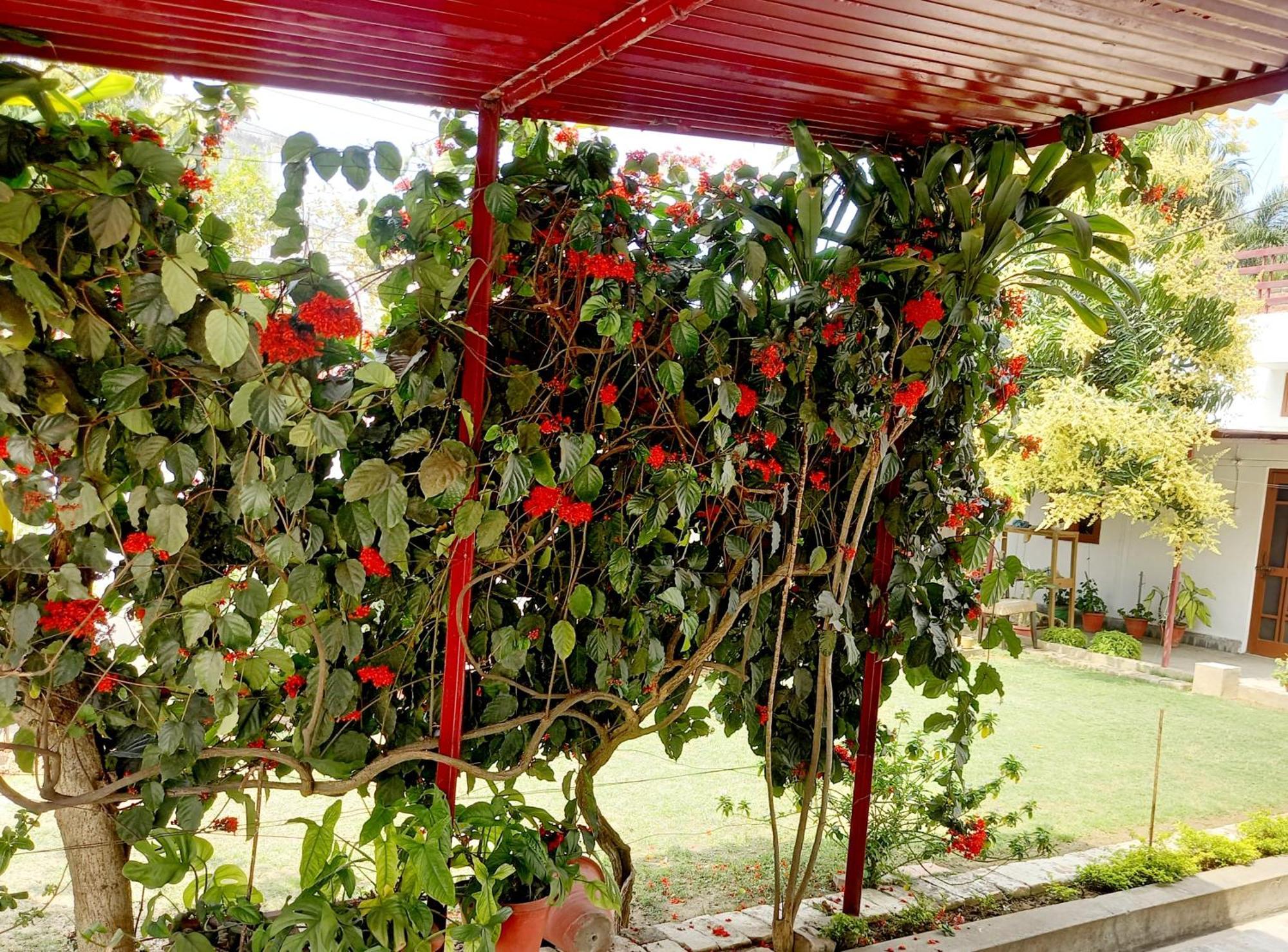 Bed and Breakfast Garden View Residency Lucknow Exterior foto